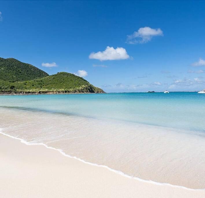 Anse Marcel Le Palmier Bleu, Cocon Tropical, Plage & Piscine מראה חיצוני תמונה
